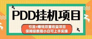 拼多多挂机项目 引流+赚钱双重收益项目(保姆级教程小白可上手实操)-康仁安资源