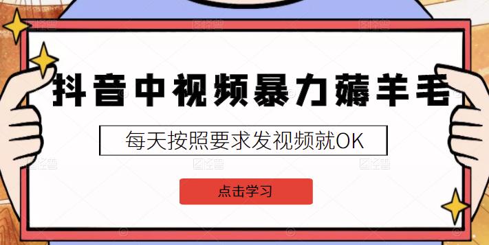 2022抖音中视频暴力薅羊毛白嫖项目：新号每天20块，老号几天几百块，可多号￼-康仁安资源
