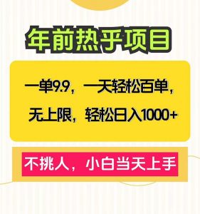 一单9.9，一天百单无上限，不挑人，小白当天上手，轻松日入1000+-康仁安资源