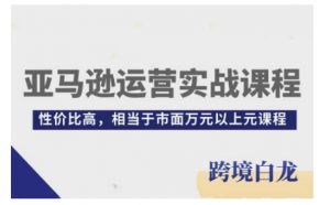 亚马逊运营实战课程，亚马逊从入门到精通，性价比高，相当于市面万元以上元课程-康仁安资源