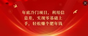 年底冷门项目，利用信息差，实现零基础上手，轻松赚个肥年钱【揭秘】-康仁安资源