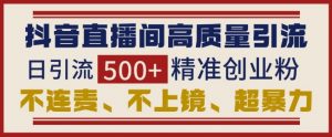 抖音直播间引流创业粉，无需连麦、不用上镜、超暴力，日引流500+高质量精准创业粉-康仁安资源