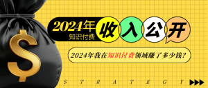 2024年知识付费收入大公开！2024年我在知识付费领域賺了多少钱？-康仁安资源