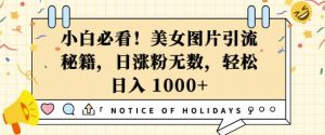 小白必看，美女图片引流秘籍，日涨粉无数，轻松日入几张【揭秘】-康仁安资源