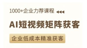 AI短视频矩阵获客实操课，企业低成本精准获客-康仁安资源