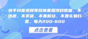 快手抖音视频号放映直播项目教程，不违规，不卖货，不靠粉丝，不靠礼物打赏，每天200-600-康仁安资源