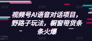 视频号AI语音对话项目，野路子玩法，橱窗带货条条火爆-康仁安资源