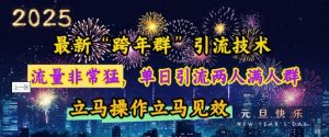 最新“跨年群”引流,流量非常猛,单日引流两人满人群,立马操作立马见效【揭秘】-康仁安资源