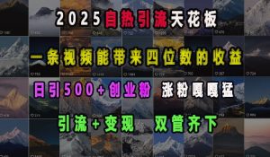 2025自热引流天花板,一条视频能带来四位数的收益,引流+变现双管齐下,日引500+创业粉,涨粉嘎嘎猛-康仁安资源