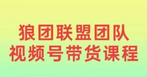狼团联盟2024视频号带货，0基础小白快速入局视频号-康仁安资源