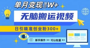 无脑搬运视频号可批量复制，新手即可操作，日引精准创业粉300+，月变现过W 【揭秘】-康仁安资源