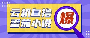 首发云手机自撸小说玩法,10块钱成本可撸200+收益操作简单【揭秘】-康仁安资源