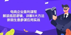 电商企业盈利课程：解读底层逻辑，详解5大方法论，新版生意参谋应用实战-康仁安资源
