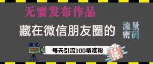藏在微信朋友圈的流量密码，无需发布作品，单日引流100+精准创业粉【揭秘】-康仁安资源