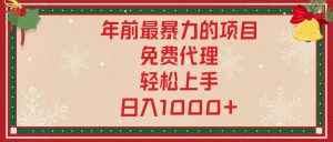 年前最暴力的项目,免费代理,轻松上手,日入1000+-康仁安资源