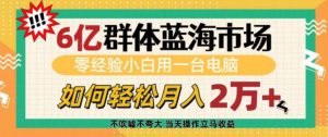 6亿群体蓝海市场，零经验小白用一台电脑，如何轻松月入过w【揭秘】-康仁安资源