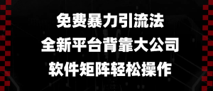 免费暴力引流法，全新平台，背靠大公司，软件矩阵轻松操作-康仁安资源