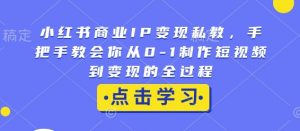小红书商业IP变现私教,手把手教会你从0-1制作短视频到变现的全过程-康仁安资源