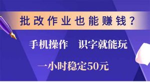 批改作业也能赚钱？0门槛手机项目，识字就能玩！一小时50元！-康仁安资源
