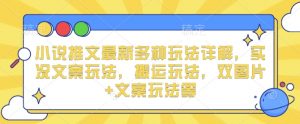小说推文最新多种玩法详解，实况文案玩法，搬运玩法，双图片+文案玩法等-康仁安资源