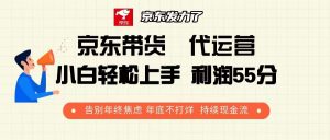 京东带货 代运营 利润55分 告别年终焦虑 年底不打烊 持续现金流-康仁安资源