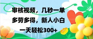 审核视频，几秒一单，多劳多得，新人小白一天轻松300+-康仁安资源