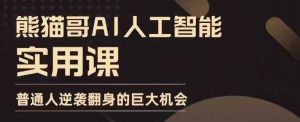 AI人工智能实用课，实在实用实战，普通人逆袭翻身的巨大机会-康仁安资源