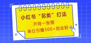 小红书“另类”打法，开局一张图，单日引爆500+精准创业粉【揭秘】-康仁安资源