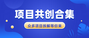 项目共创合集，从0-1全过程拆解，让你迅速找到适合自已的项目-康仁安资源