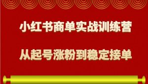 小红书商单实战训练营，从0到1教你如何变现，从起号涨粉到稳定接单，适合新手-康仁安资源
