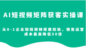 AI短视频矩阵获客实操课,从0-1企业短短视频搭建经验,销售运营成本最高降低50倍-康仁安资源