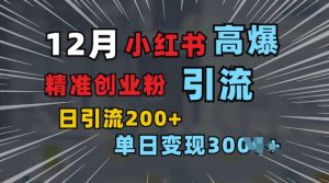 小红书一张图片“引爆”创业粉，单日+200+精准创业粉 可筛选付费意识创业粉【揭秘】-康仁安资源