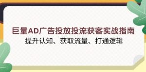 巨量AD广告投放投流获客实战指南，提升认知、获取流量、打通逻辑-康仁安资源