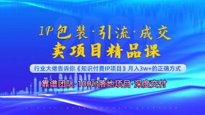 《IP包装·暴力引流·闪电成交卖项目精品课》如何在众多导师中脱颖而出?-康仁安资源