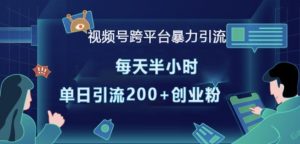 视频号跨平台暴力引流，每天半小时，单日引流200+精准创业粉-康仁安资源