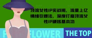 顶流女性IP实战班,流量上亿情绪引爆法,深度打磨顶流女性IP硬核基本功-康仁安资源