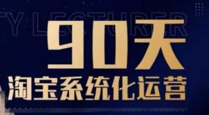 90天淘宝系统化运营,从入门到精通-康仁安资源
