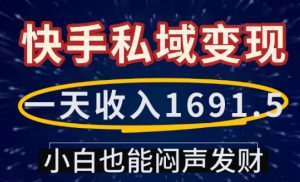 一天收入1691.5，快手私域变现，小白也能闷声发财-康仁安资源