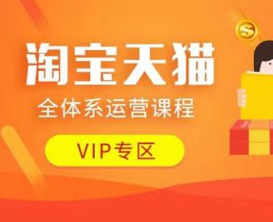淘宝天猫全体系运营课程:店铺全系运营、动销玩法、付费推广、流量提升、擦边球玩法等等-康仁安资源