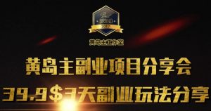 黄岛主副业分享会1期：3天3个副业玩法，速度上车-康仁安资源