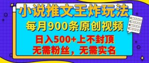 小说推文王炸玩法，一键代发，每月最多领900条原创视频，播放量收益日入5张，无需粉丝，无需实名【揭秘】-康仁安资源