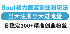 Soul暴力截流创业粉玩法，当天注册当天进流量，日稳定300+精准创业粉丝-康仁安资源