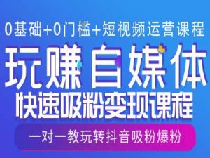 0基础+0门槛+短视频运营课程，玩赚自媒体快速吸粉变现课程，一对一教玩转抖音吸粉爆粉-康仁安资源