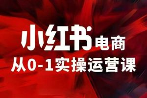 小红书电商运营，97节小红书vip内部课，带你实现小红书赚钱-康仁安资源