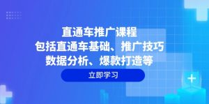 直通车推广课程：包括直通车基础、推广技巧、数据分析、爆款打造等-康仁安资源