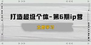 打造 超级个体-第6期ip营:商业认知,产品设计,成交演练,解决知识变现难题-康仁安资源