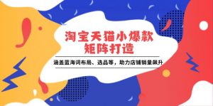 淘宝天猫小爆款矩阵打造：涵盖蓝海词布局、选品等，助力店铺销量飙升-康仁安资源