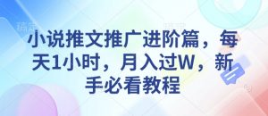 小说推文推广进阶篇，每天1小时，月入过W，新手必看教程-康仁安资源