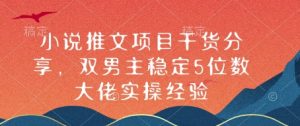 小说推文项目干货分享，双男主稳定5位数大佬实操经验-康仁安资源