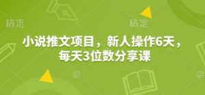 小说推文项目,新人操作6天,每天3位数分享课-康仁安资源